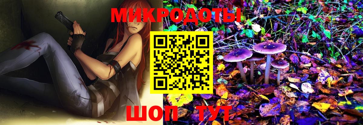 Псилоцибиновые грибы MAGIC MUSHROOMS  дарнет шоп  Краснознаменск  Вход с VPN 